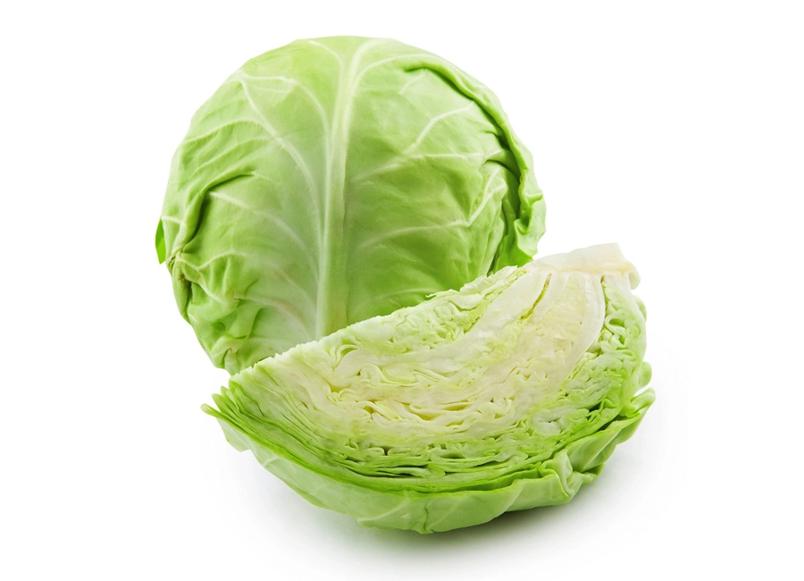 Cabbage fresh quality product supplier Maldives