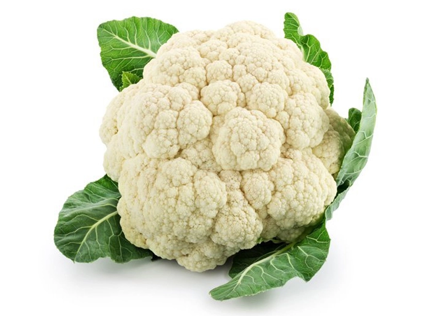 Cauliflower fresh quality product supplier Maldives