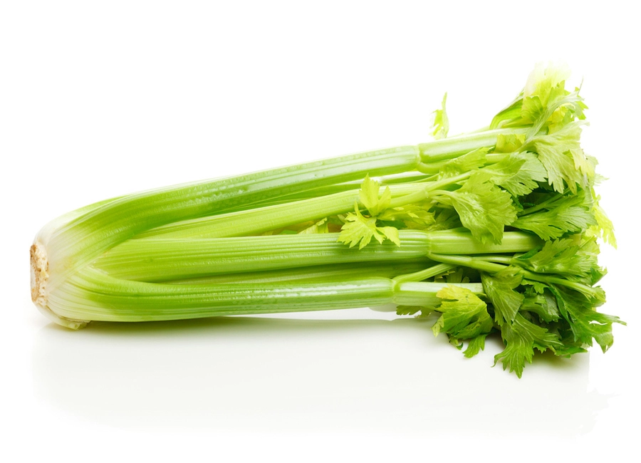Celery fresh quality product supplier Maldives