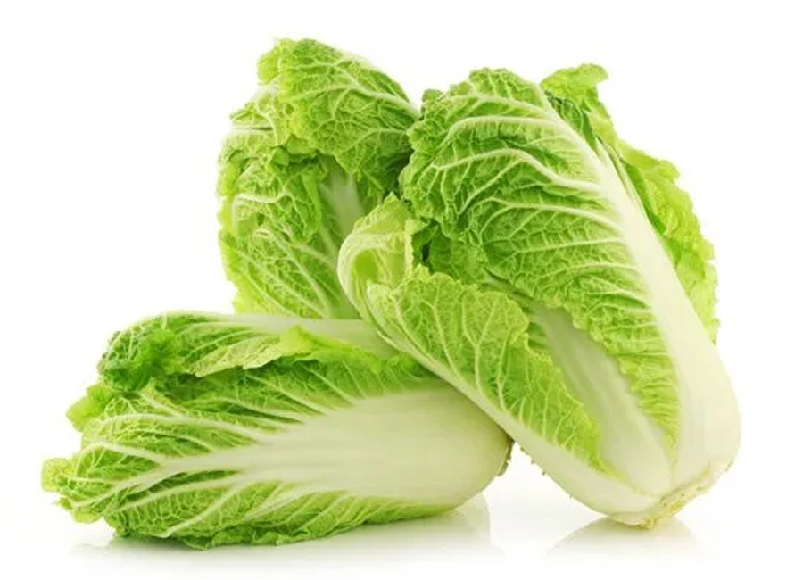 Chinese Cabbage fresh quality product supplier Maldives
