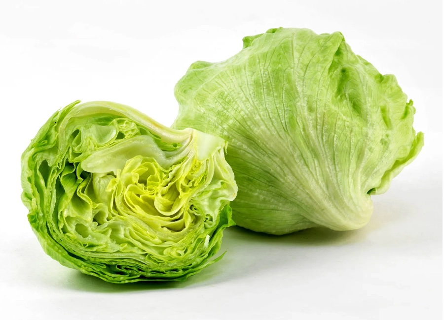 Lettuce fresh quality product supplier Maldives