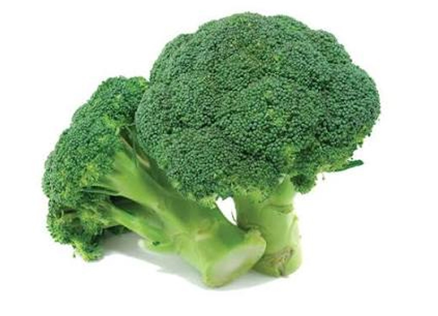 Broccoli fresh quality product supplier Maldives
