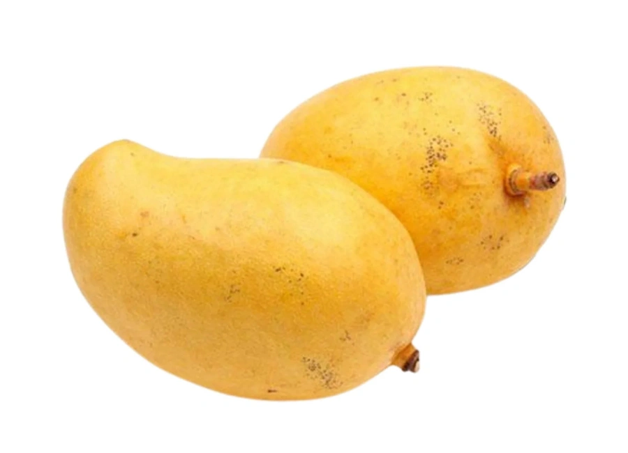 TJC Mango fresh quality product supplier Maldives
