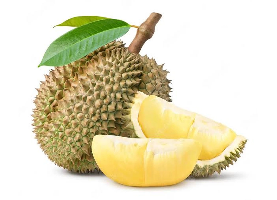 Durian fresh quality product supplier Maldives