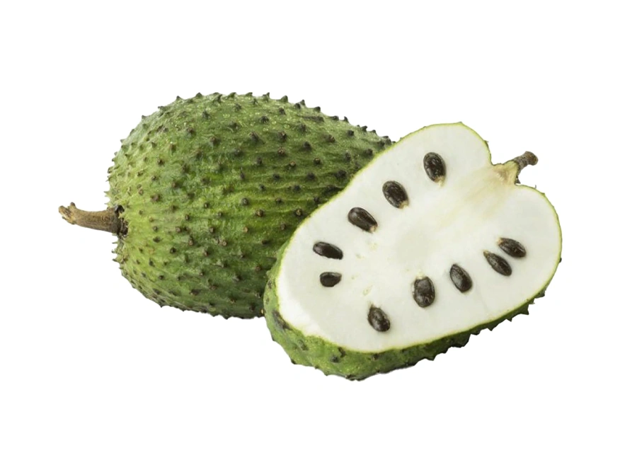 Soursop fresh quality product supplier Maldives