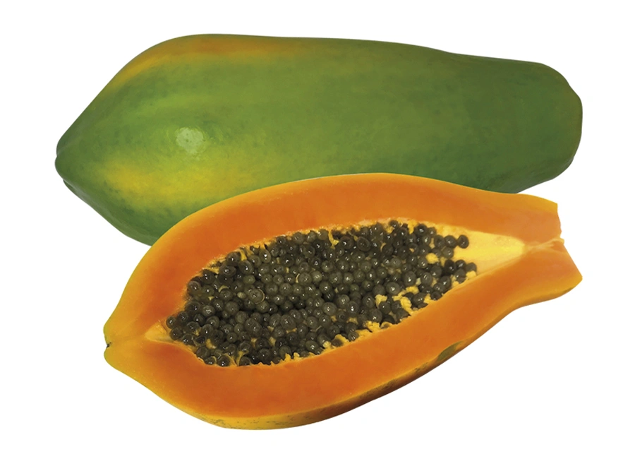 Papaya fresh quality product supplier Maldives