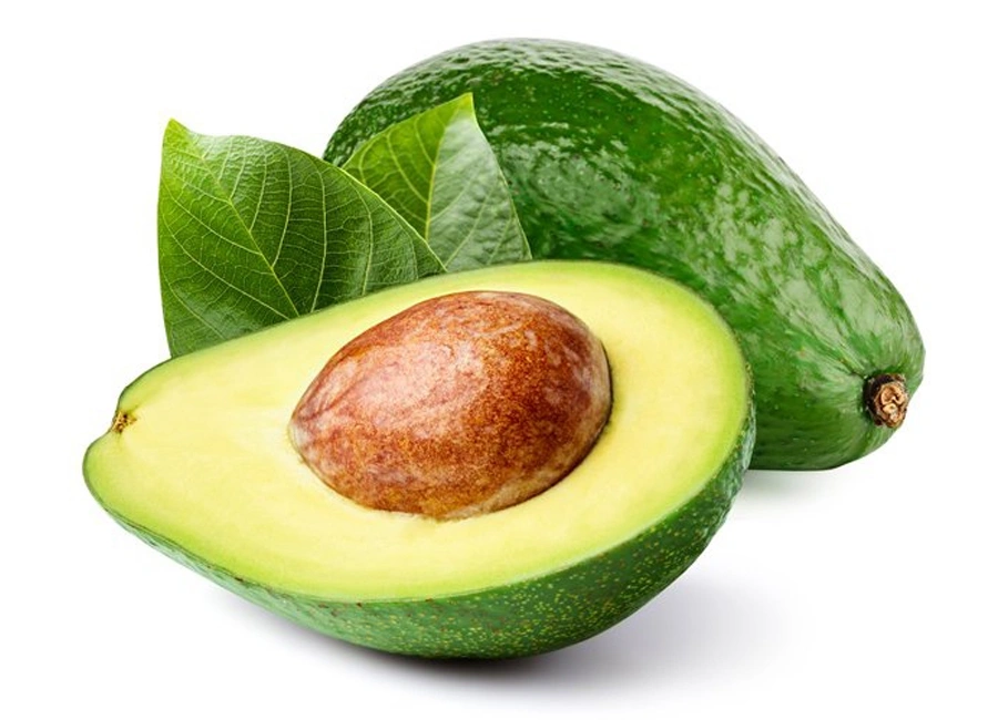Avocado fresh quality product supplier Maldives