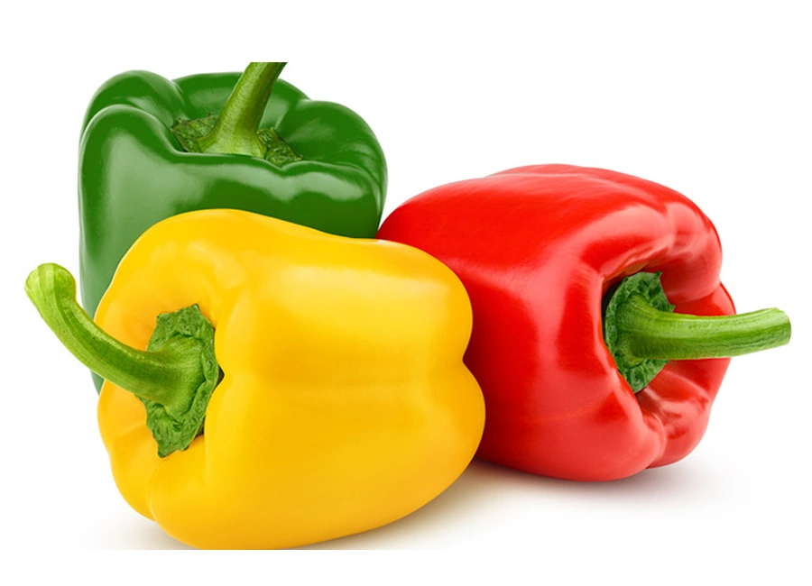 Bell Pepper (Red / Yellow / Green) fresh quality product supplier Maldives