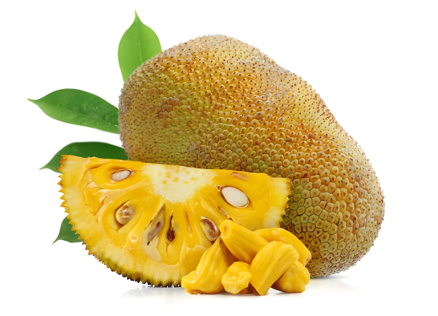 Ripe Jackfruit fresh quality product supplier Maldives